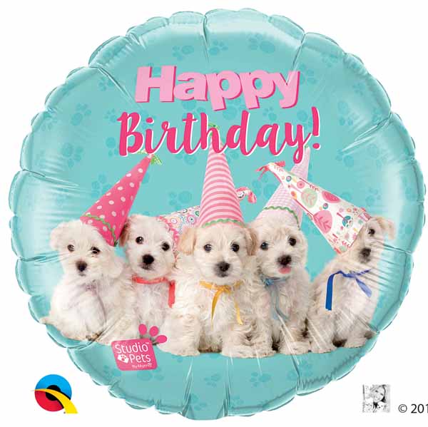 Studio Pets Happy Birthday Puppies Foil 